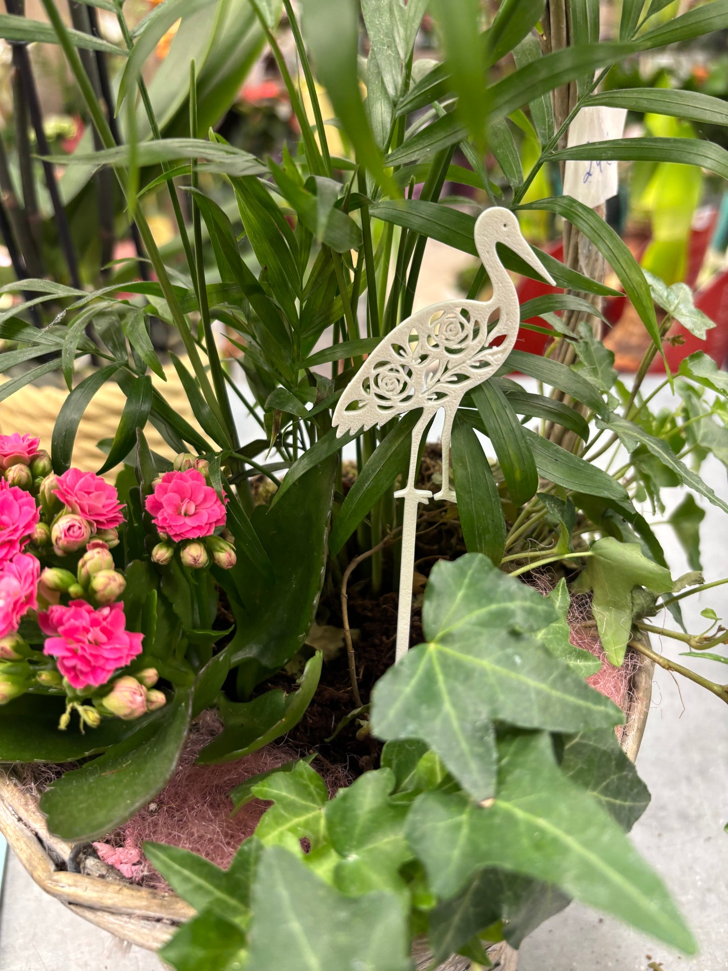 Pic décoratif Moineau – Professionnel