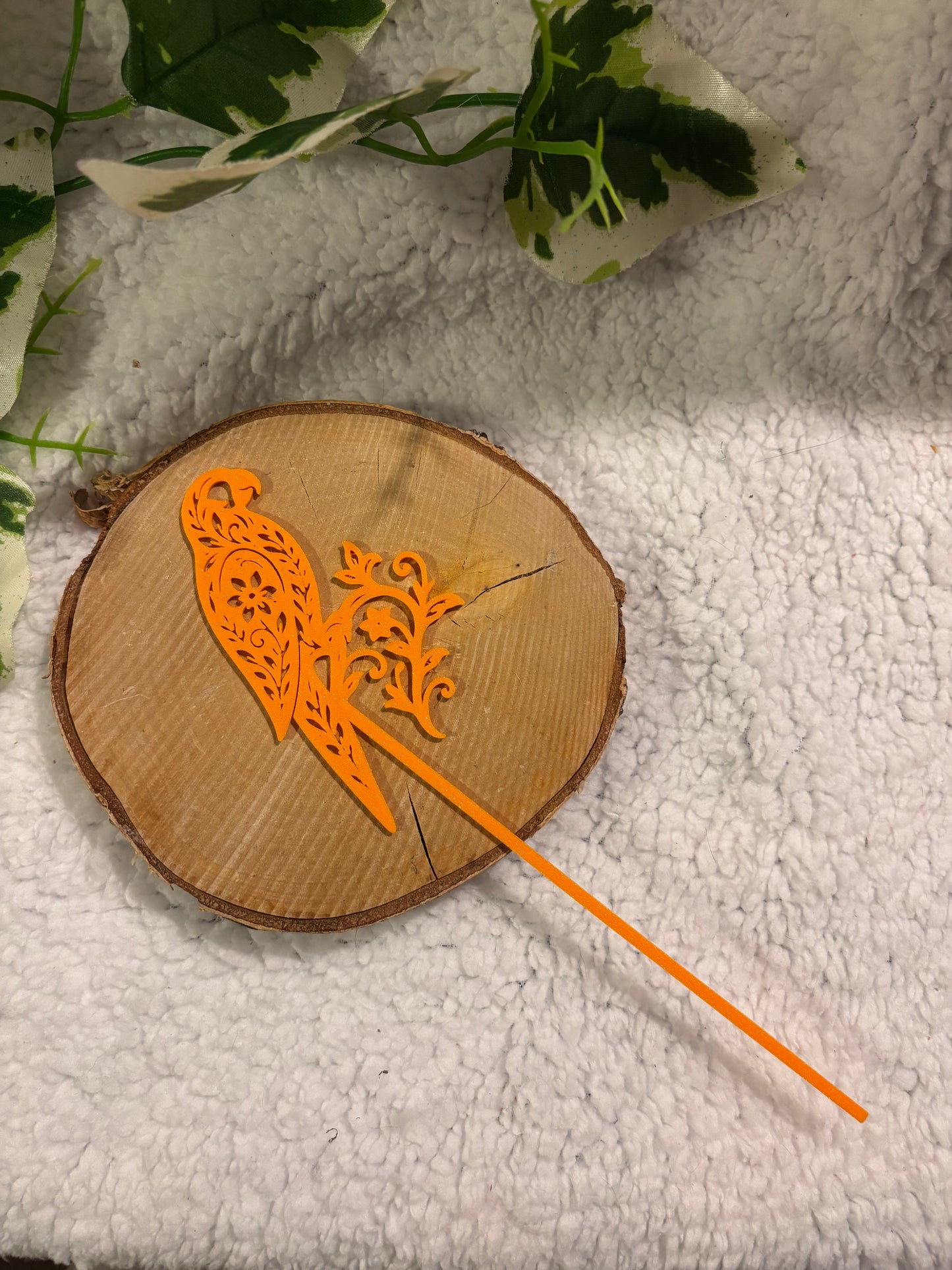 Pic décoratif Perroquet – Professionnel