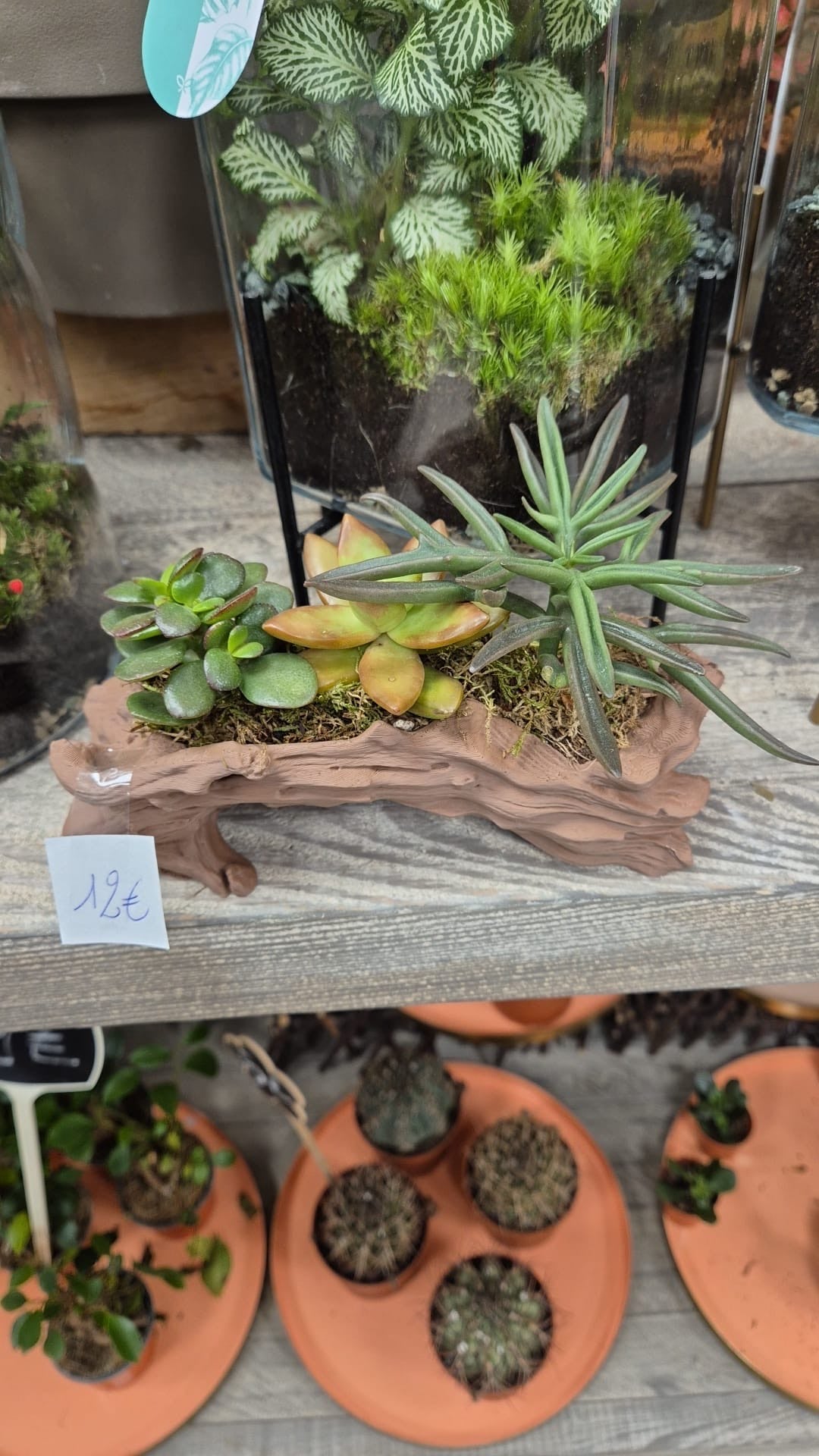 Pots et cache-pots rondin de bois