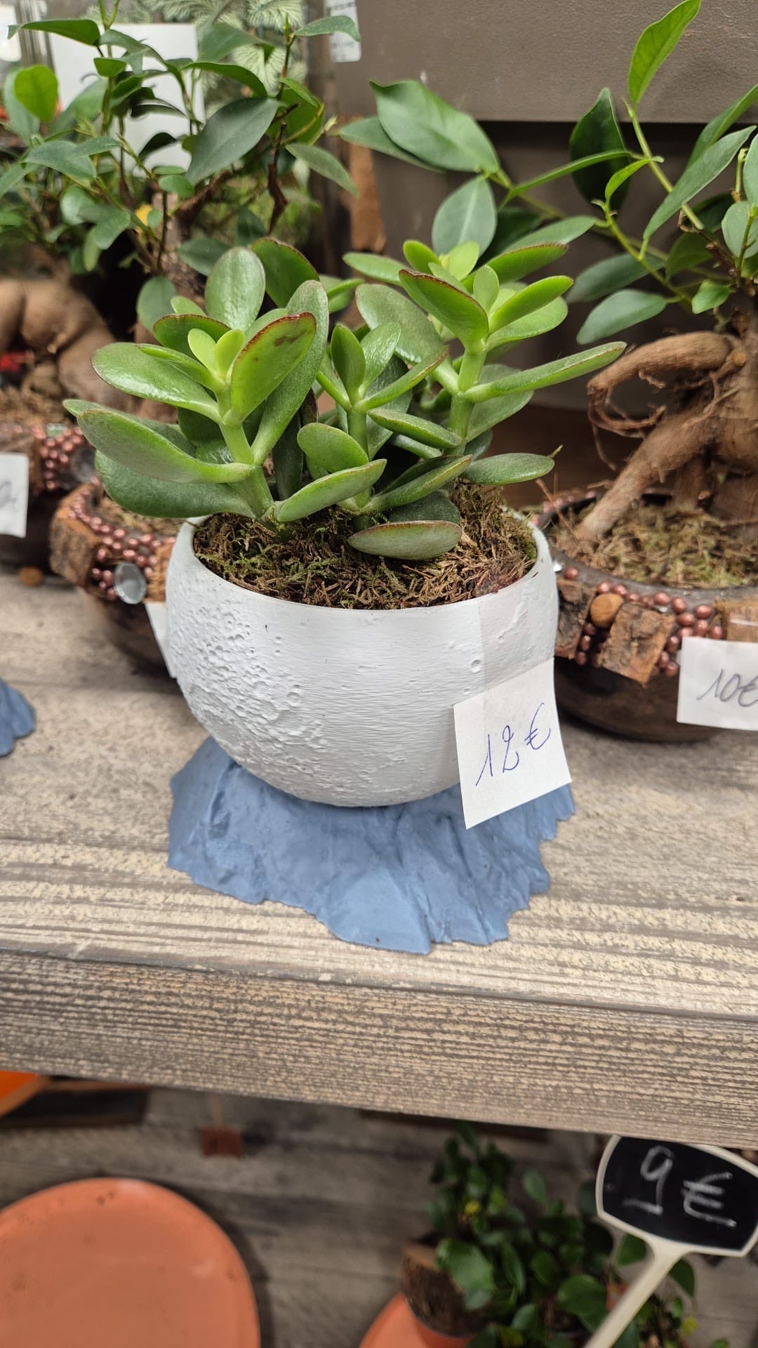 Pots et cache-pots lune dans un cratère