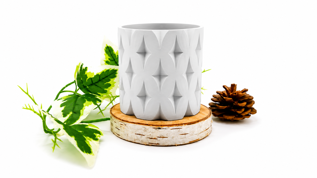 Pots et cache-pots étoile de noël
