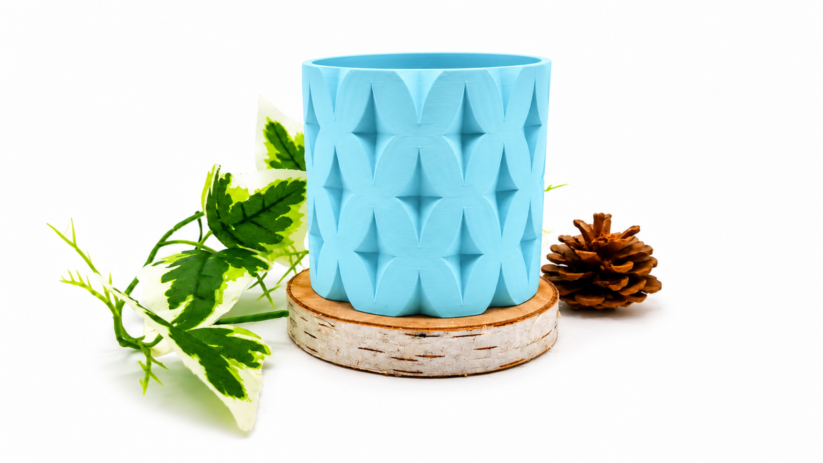 Pots et cache-pots étoile de noël