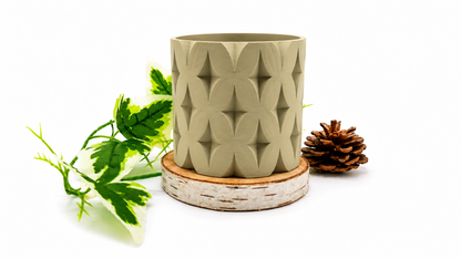Pots et cache-pots étoile de noël
