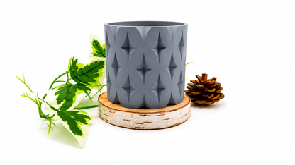 Pots et cache-pots étoile de noël