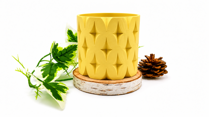 Pots et cache-pots étoile de noël