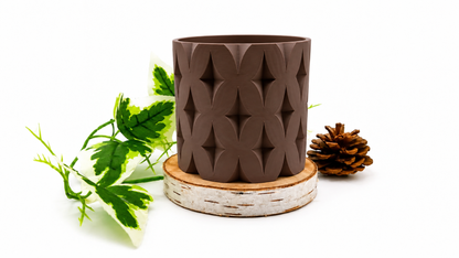 Pots et cache-pots étoile de noël