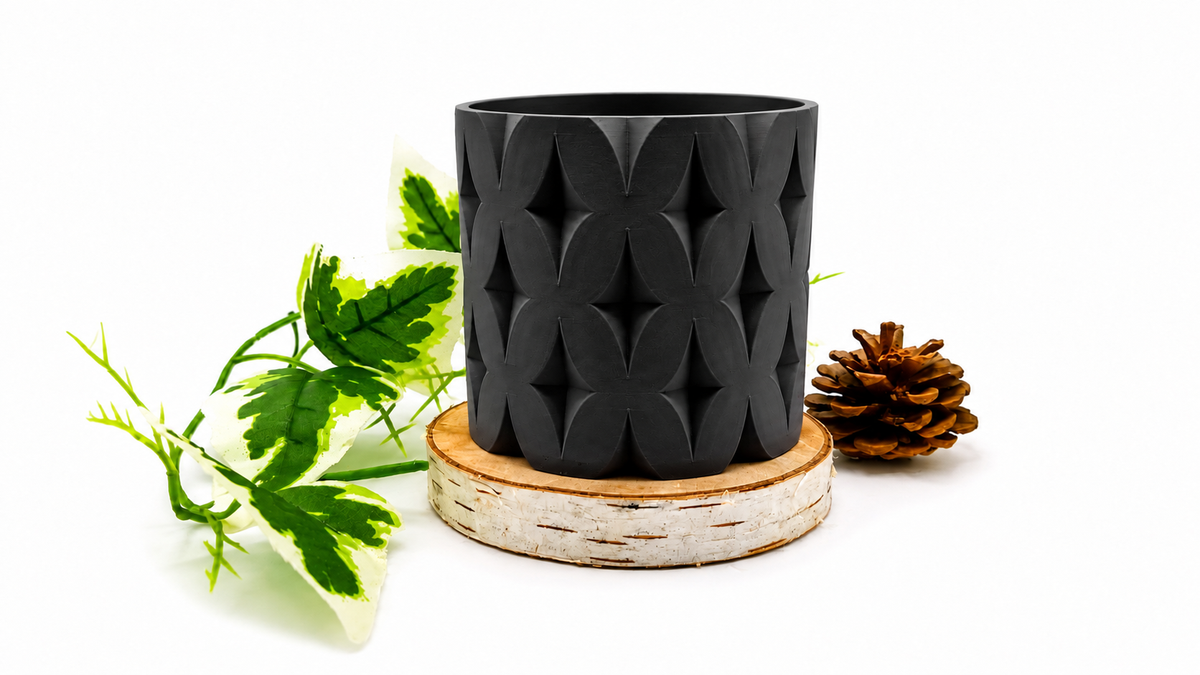 Pots et cache-pots étoile de noël