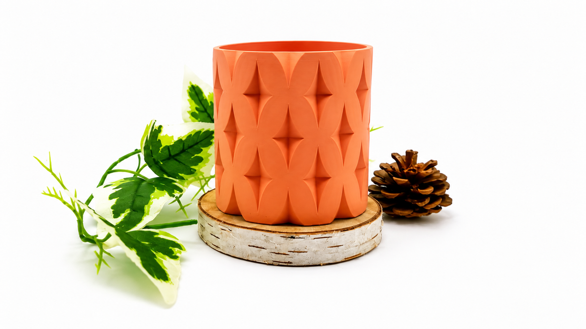 Pots et cache-pots étoile de noël