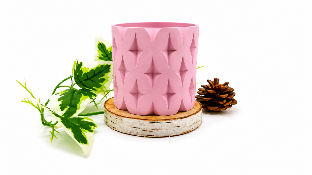 Pots et cache-pots étoile de noël