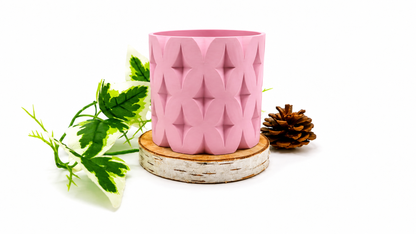 Pots et cache-pots étoile de noël