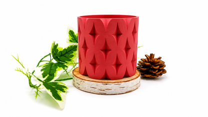 Pots et cache-pots étoile de noël
