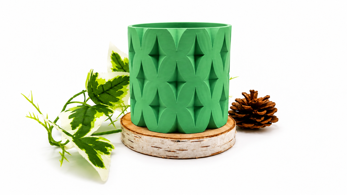 Pots et cache-pots étoile de noël