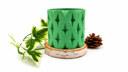 Pots et cache-pots étoile de noël