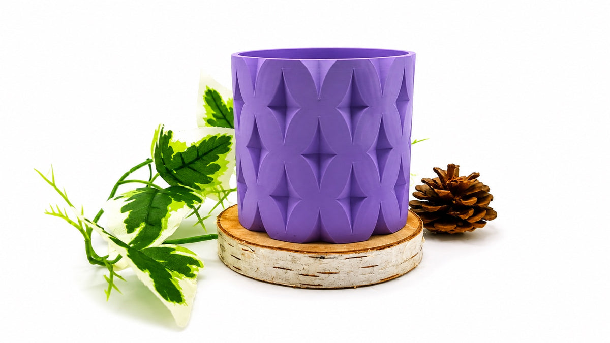 Pots et cache-pots étoile de noël