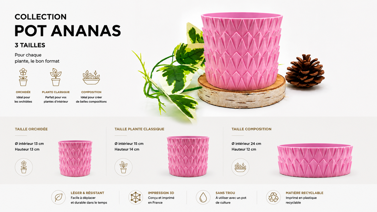 Pots et cache-pots ananas