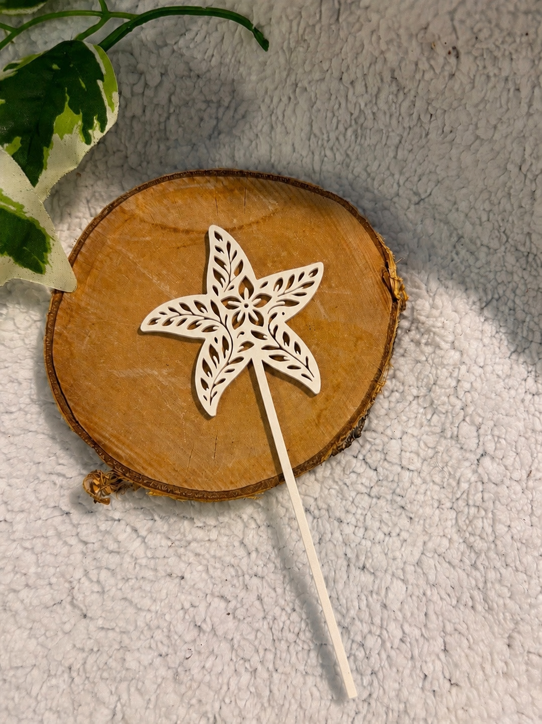 Pic décoratif Etoile de Mer – Professionnel