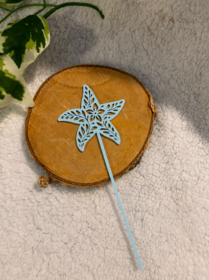 Pic décoratif Etoile de Mer – Professionnel