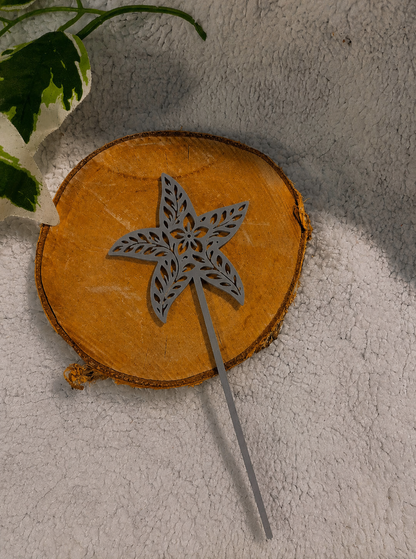 Pic décoratif Etoile de Mer – Professionnel