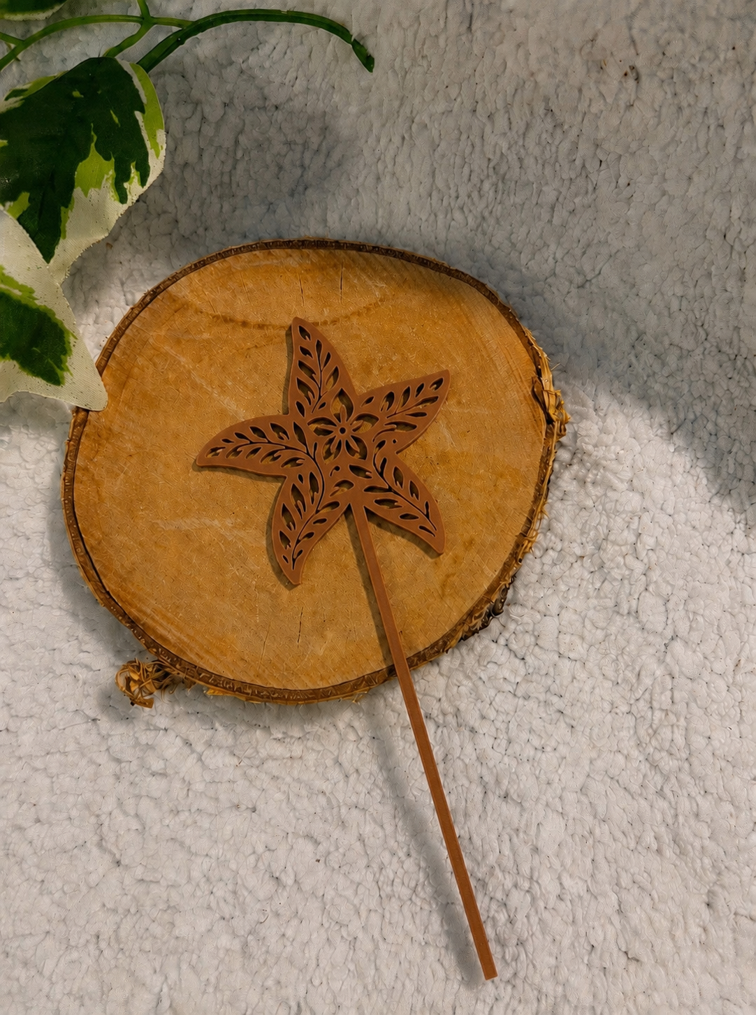 Pic décoratif Etoile de Mer – Professionnel