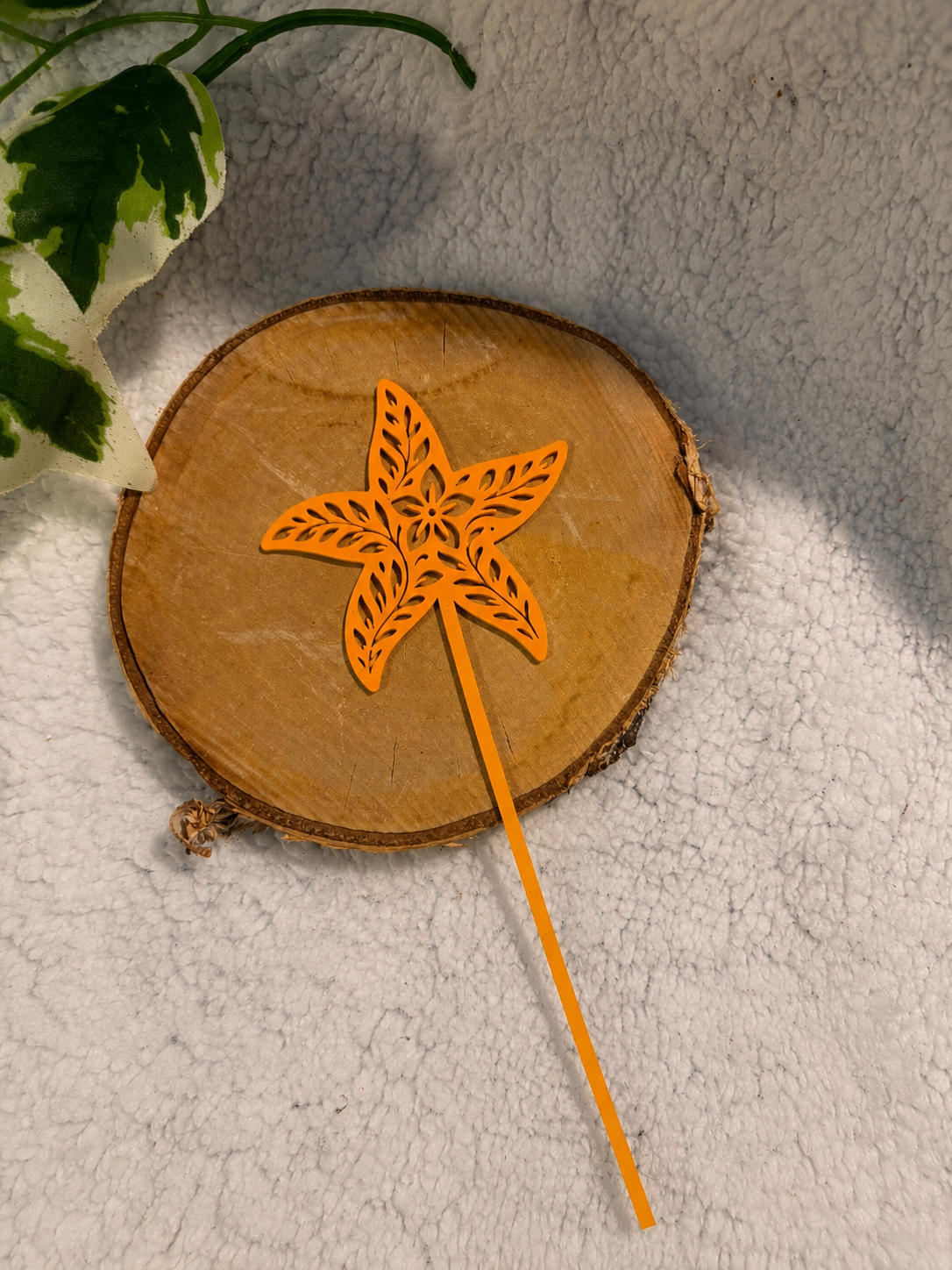 Pic décoratif Etoile de Mer – Professionnel