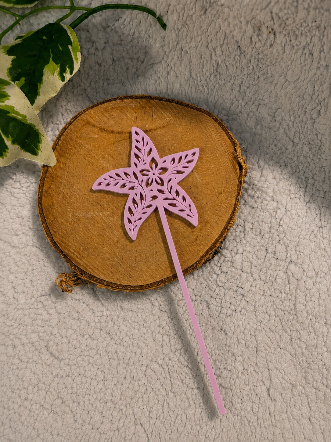 Pic décoratif Etoile de Mer – Professionnel