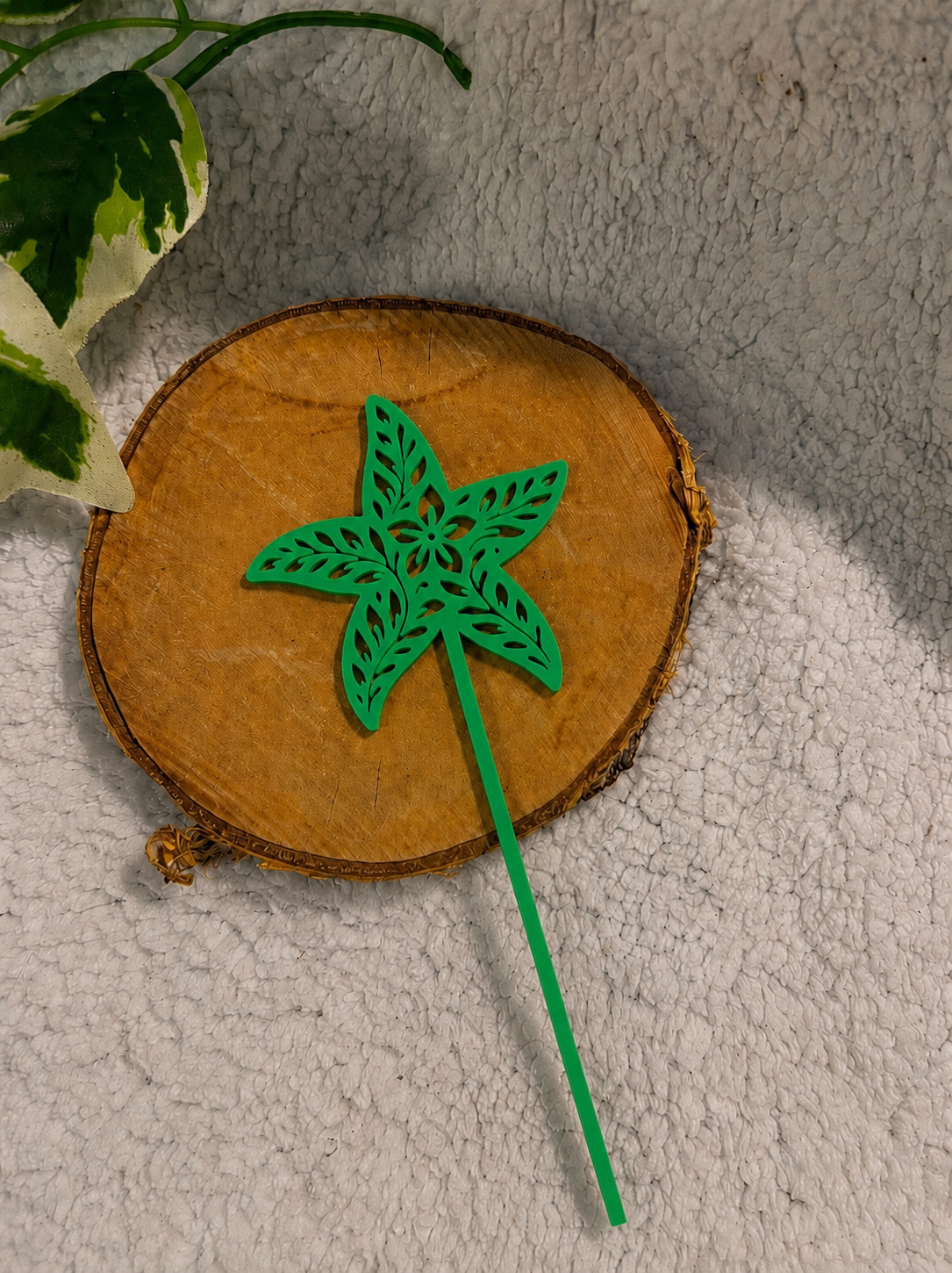 Pic décoratif Etoile de Mer – Professionnel