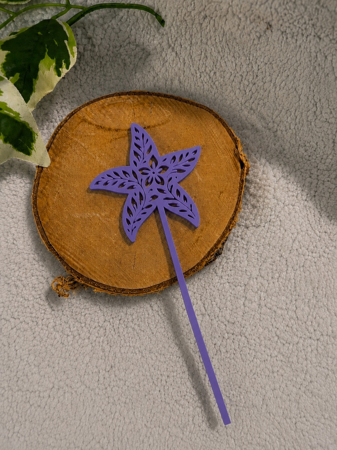 Pic décoratif Etoile de Mer – Professionnel