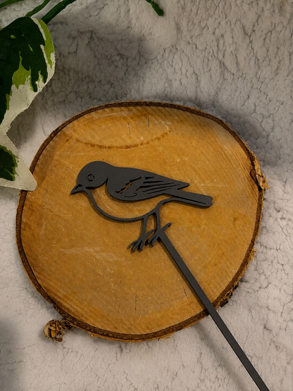 Pic décoratif Oiseau – Professionnel
