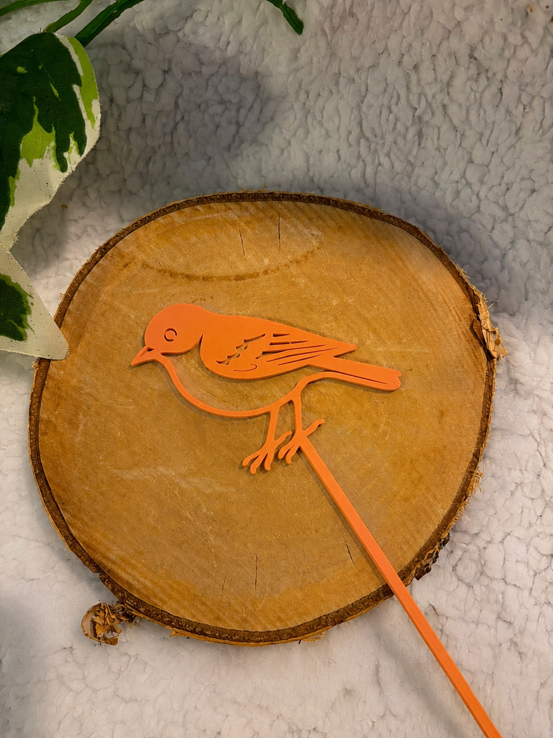 Pic décoratif Oiseau – Professionnel