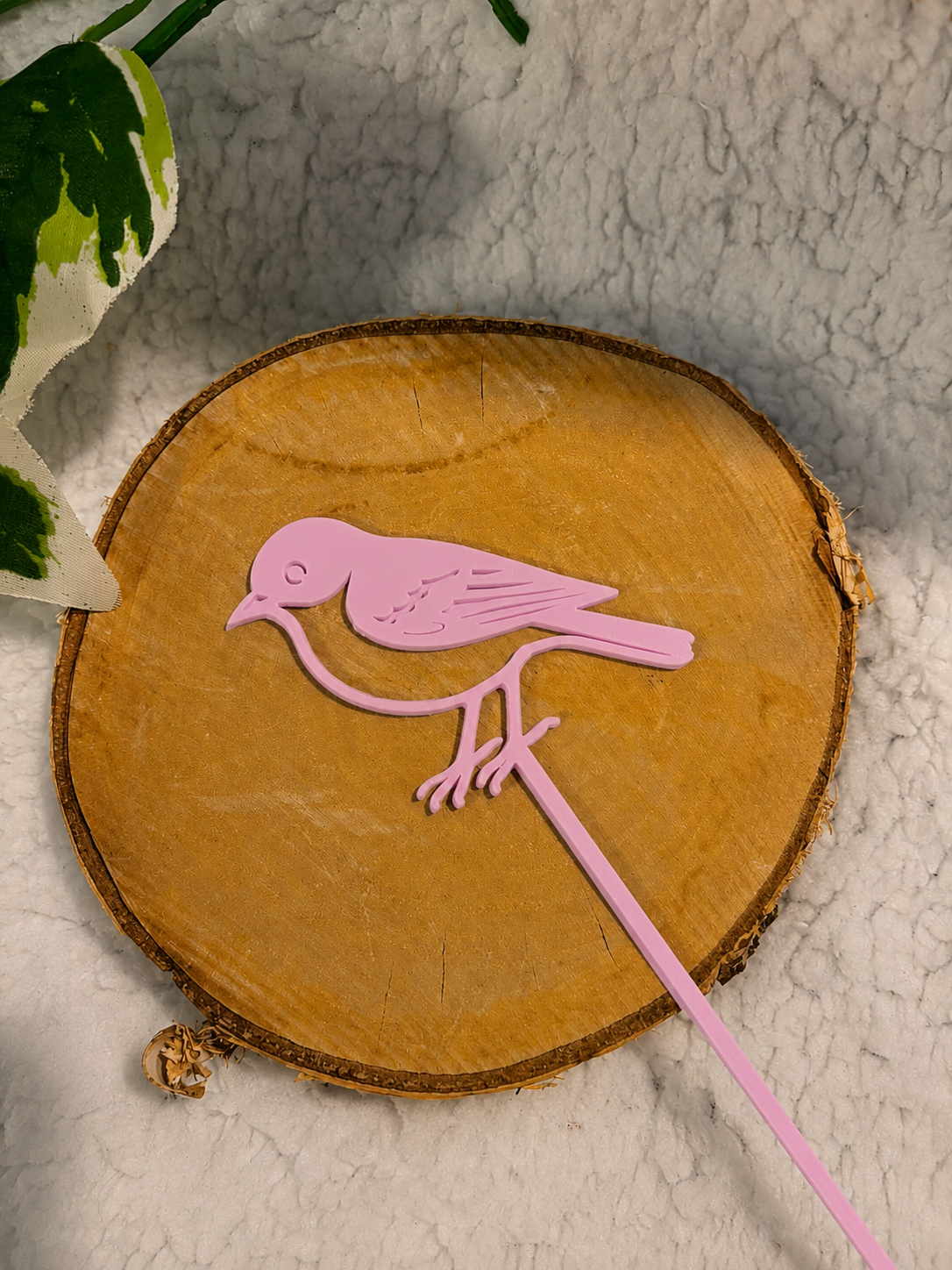 Pic décoratif Oiseau – Professionnel
