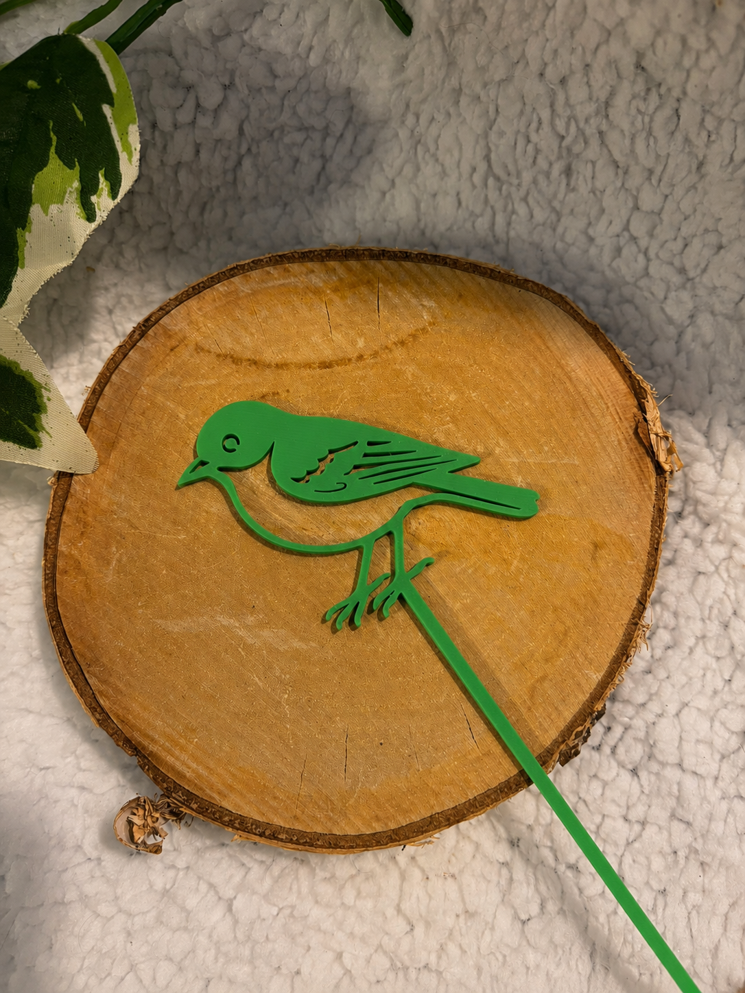 Pic décoratif Oiseau – Professionnel