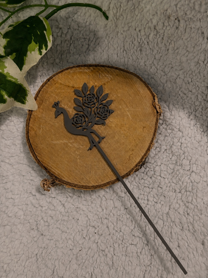 Pic décoratif Paon – Professionnel