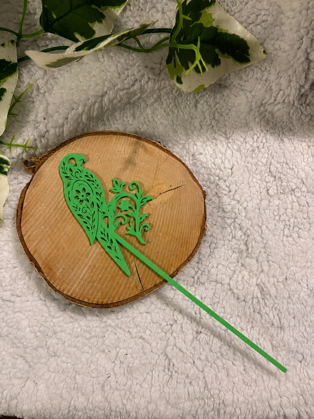 Pic décoratif Perroquet – Professionnel