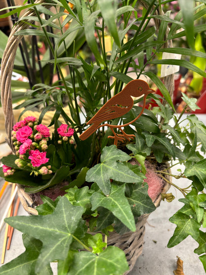 Pic décoratif Oiseau – Professionnel