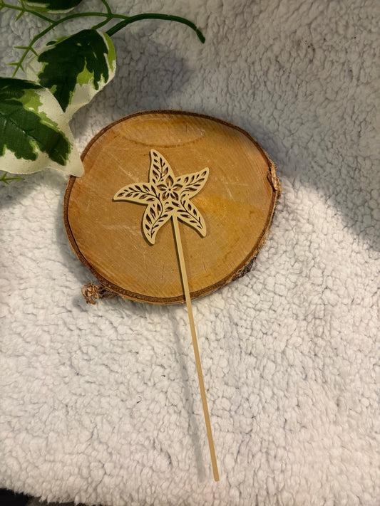 Pic décoratif Etoile de Mer – Professionnel