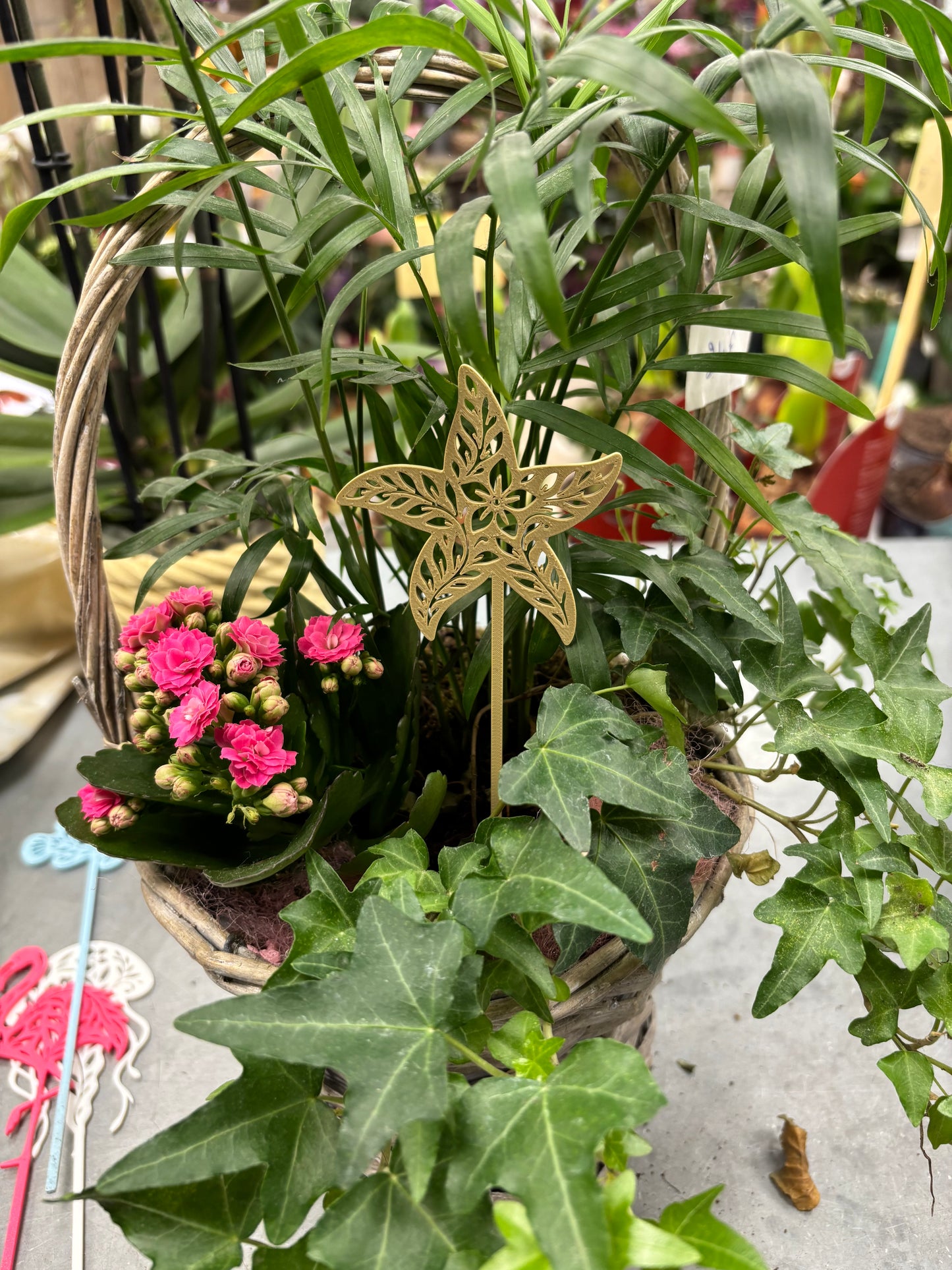 Pic décoratif Etoile de Mer – Professionnel