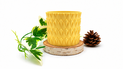 Pots et cache-pots ananas