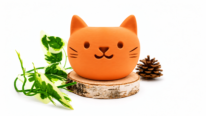 Pots et cache-pots tête de chat