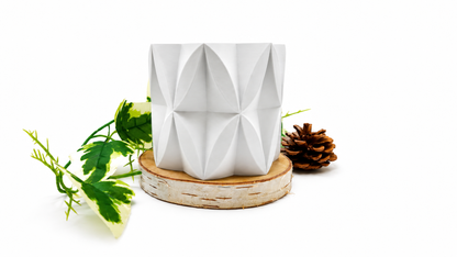 Pots et cache-pots papillon