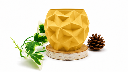Pots et cache-pots de voronoi