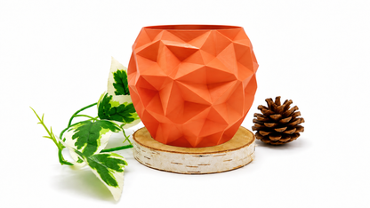 Pots et cache-pots de voronoi