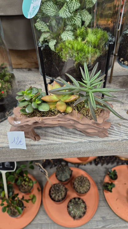 Pots et cache-pots rondin de bois