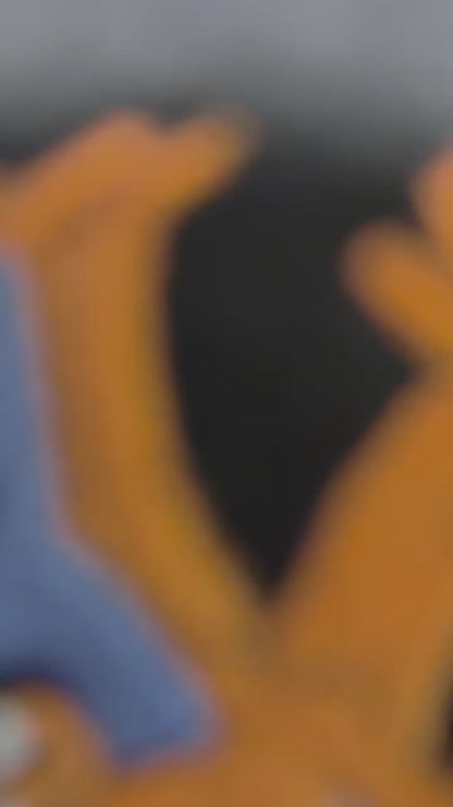 Sweat brodé Dracaufeu family - Pokémon